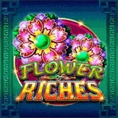 Flor de Riqueza thumbnail